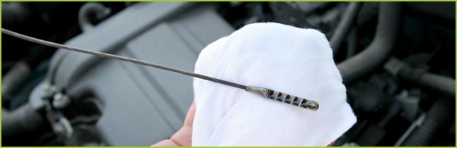 Oil dipstick to check oil levels in vehicle.